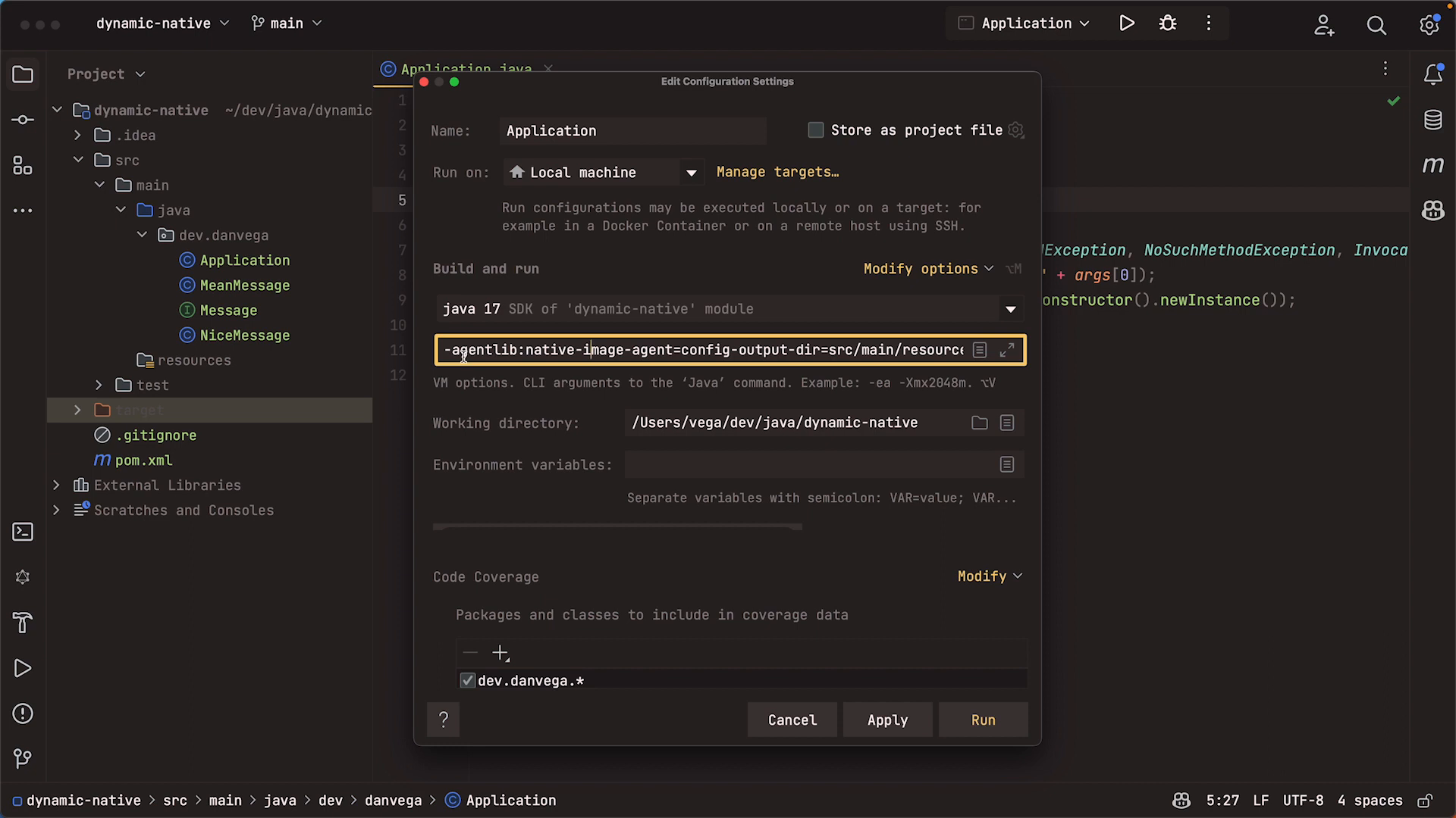 VM Options in IntelliJ