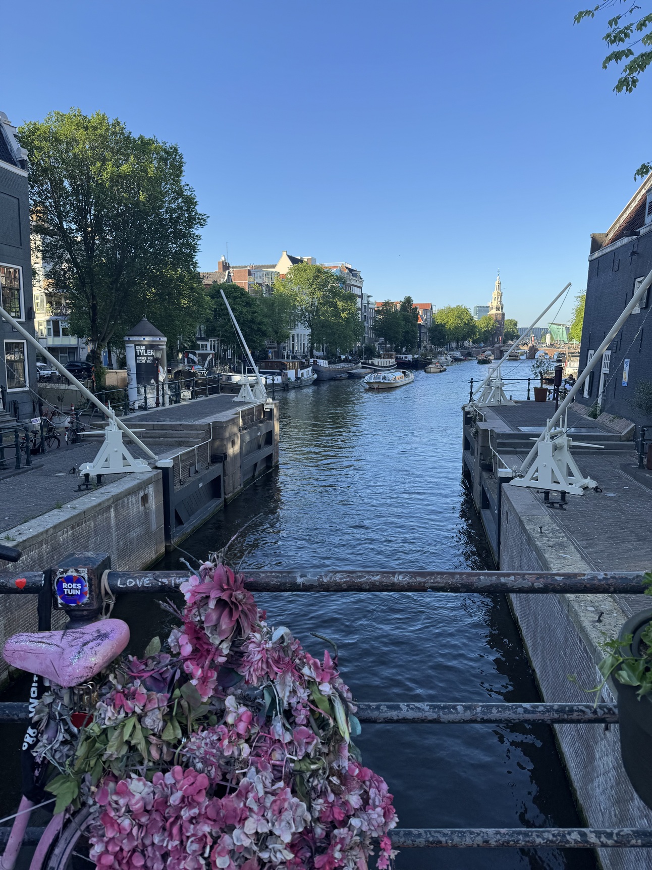 Amsterdam Photo 2